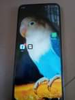 A picture of Infinxi hot 10 T GB 64