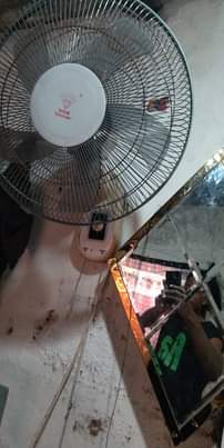 A picture of Feni ya ukutani
