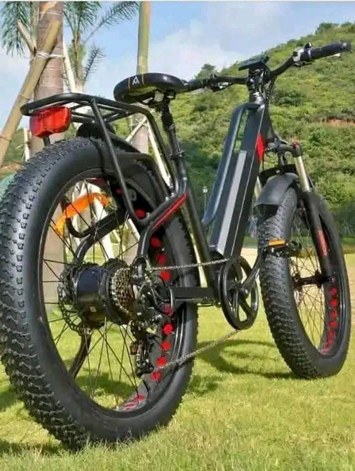 A picture of ELECTRIC BICYCLE FOR LIPA MDOGO MDOGO