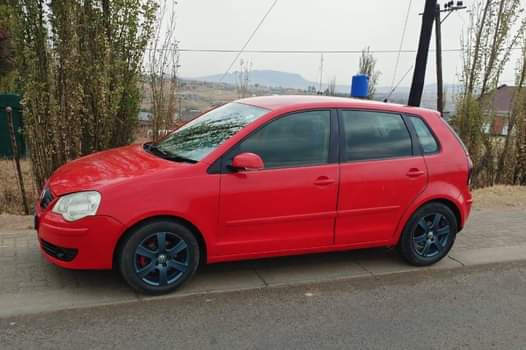 A picture of Polo 5
