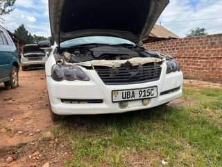 A picture of 2007 Toyota Mark X