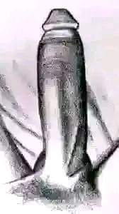 A picture of OGUN MOKOGUN ATI MOKOTOBI Nkan to daa ni ki oko
