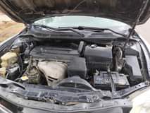 A picture of 2010 Model Toyota muscle