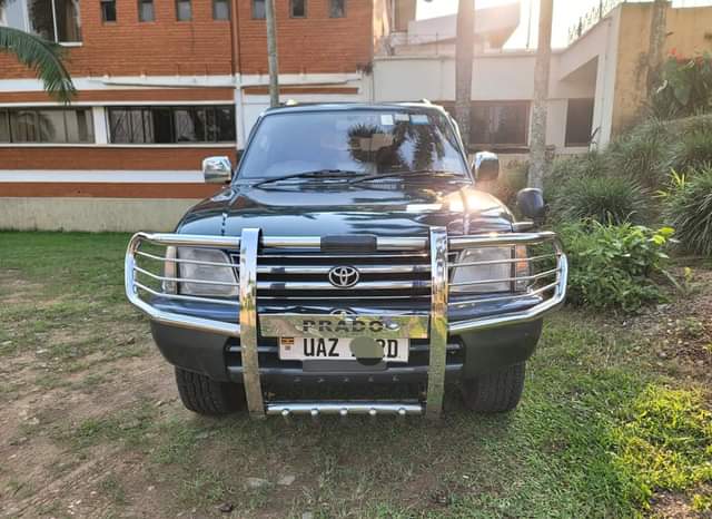 used toyota prado