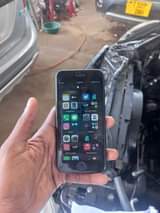 A picture of Iphone 7plain