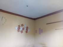 A picture of Single Room in a Fence