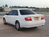 A picture of CARINA TI