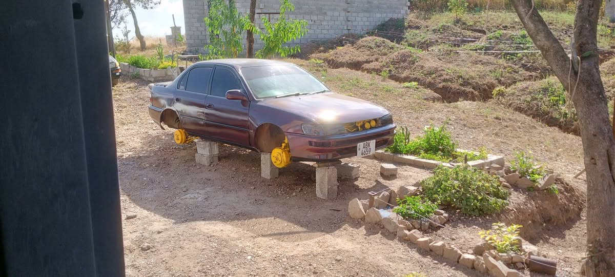 cars