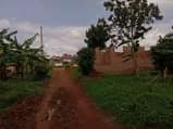 A picture of Buloba mityana rd plot on quick sale