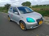 A picture of Vitz