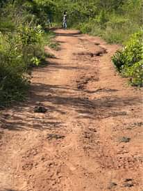 A picture of 50 acres in kayunga Bbale at 6m each