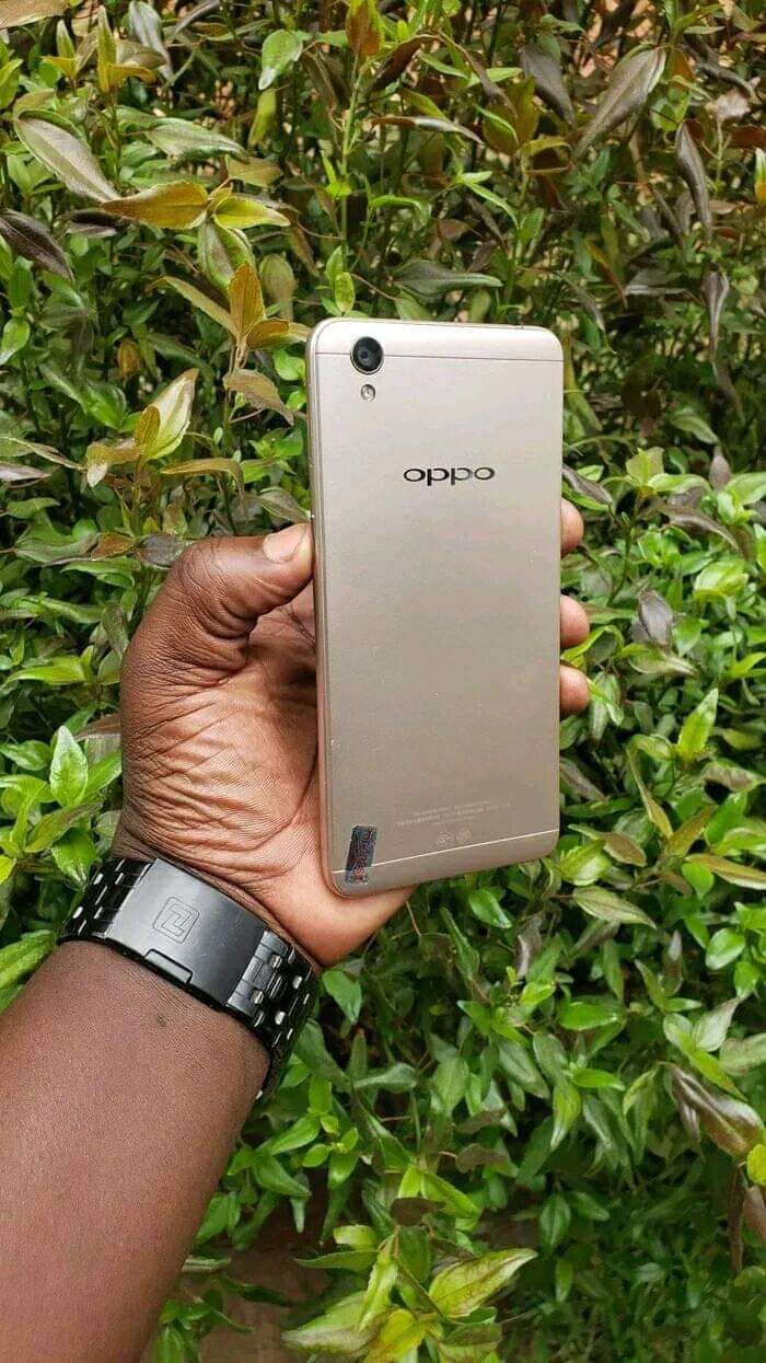 A picture of OPPO A37