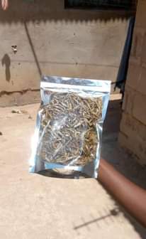 A picture of Dagaa watamu wa mwanza kuanzia 1000