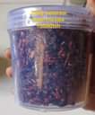 A picture of Assorted mouth freshner available