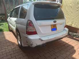 A picture of Subaru Forester