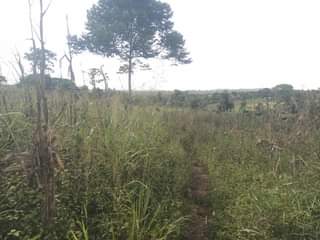 A picture of Quick sale 35m half an acre 50decimals with ready land