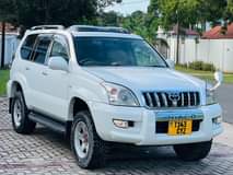 A picture of PRADO