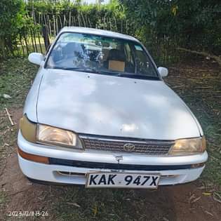Wa J.