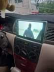 A picture of 2006 Toyota Corolla Gold