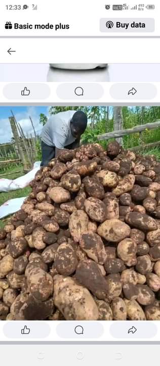fertilizer