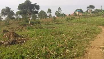 A picture of Plot