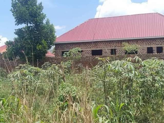 A picture of Jangu nga bwooli