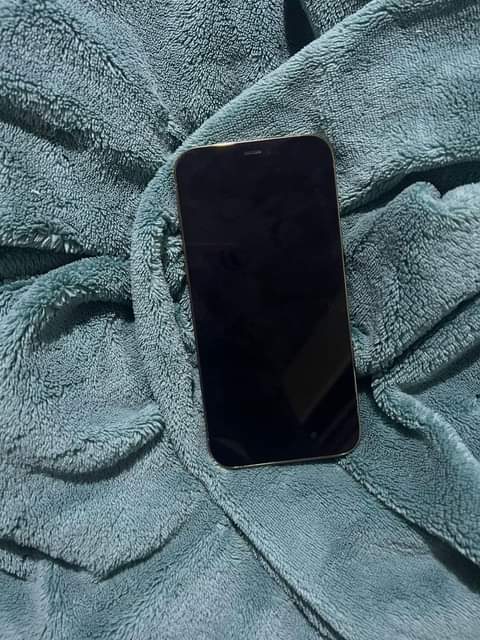 iphone 12pro