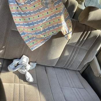 A picture of Toyota Sienna 02
