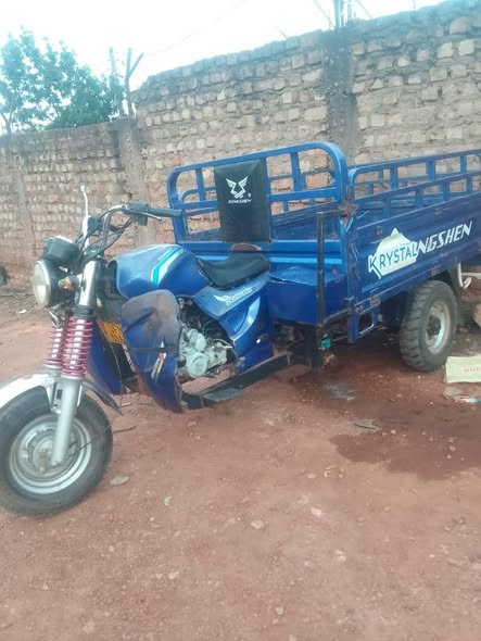 A picture of Tukutukus