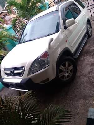 cars_under_800k