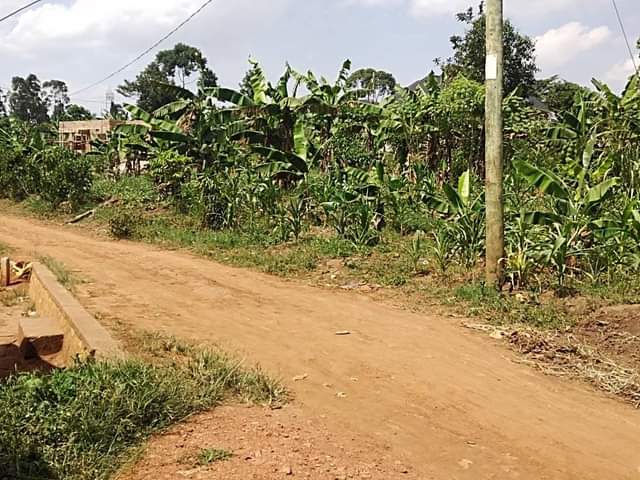 A picture of Land