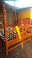 A picture of Bed 4 6 and 5 6