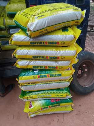A picture of Nigerian Stonefree rice is available at good price