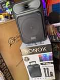 A picture of Sonok 10 Inches Pa System