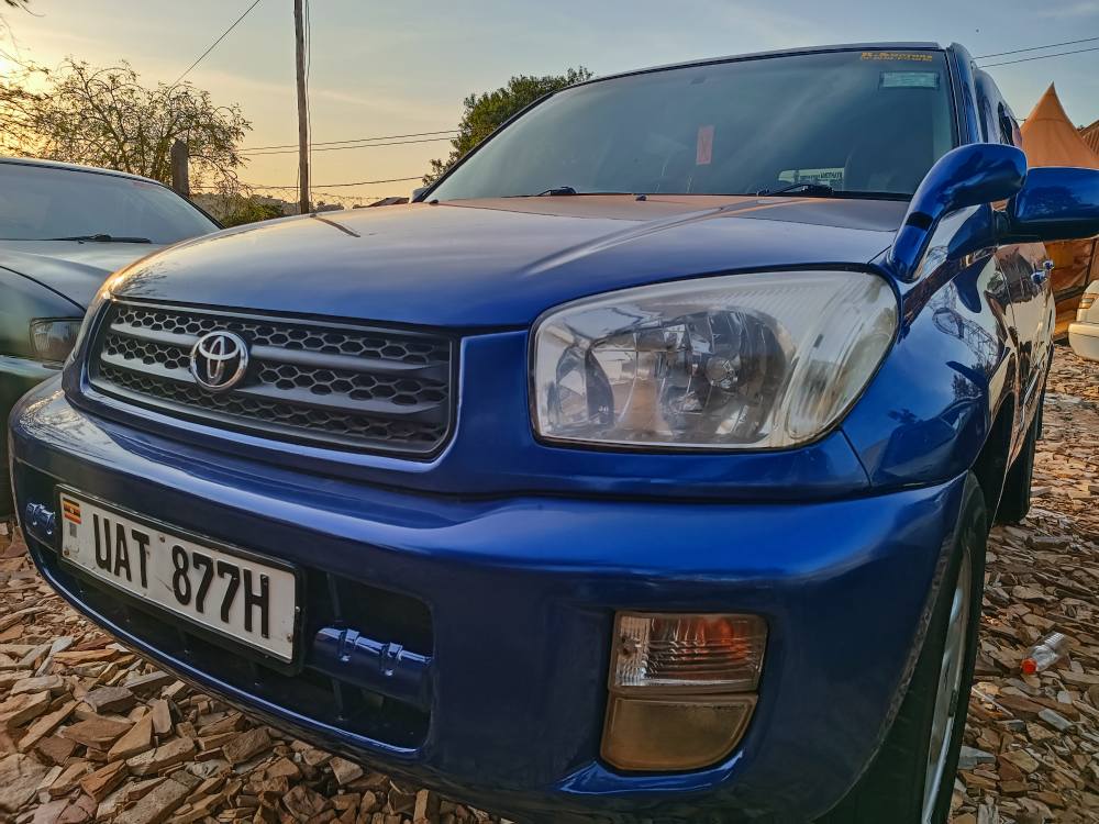 A picture of Rav4