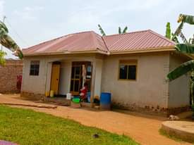 A picture of House