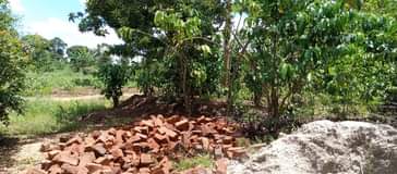 A picture of 3acres in photos with coffee banana plantation each at 16