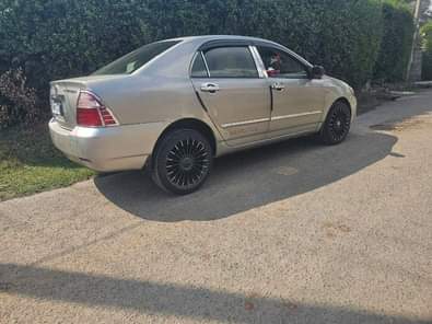cars