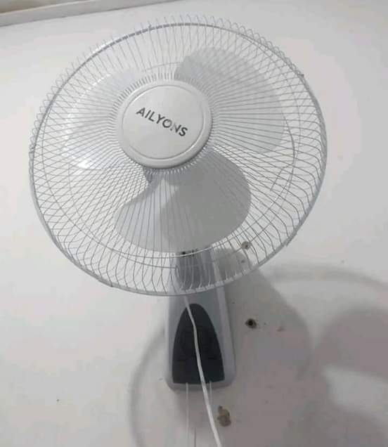fans