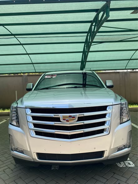 cadillac escalade