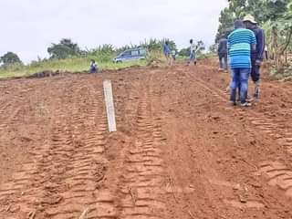 Gavamukulya T.