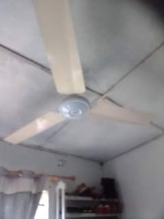 fans