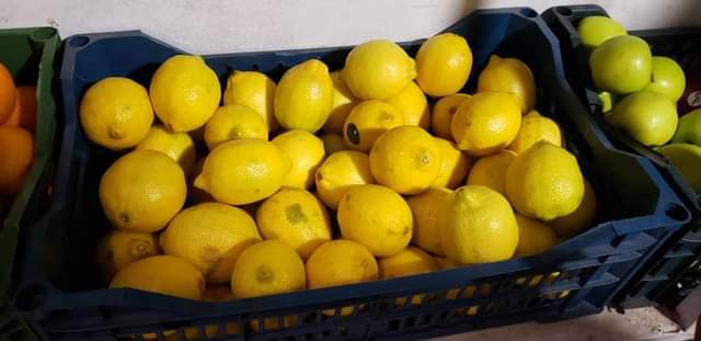 A picture of Imported Fruits