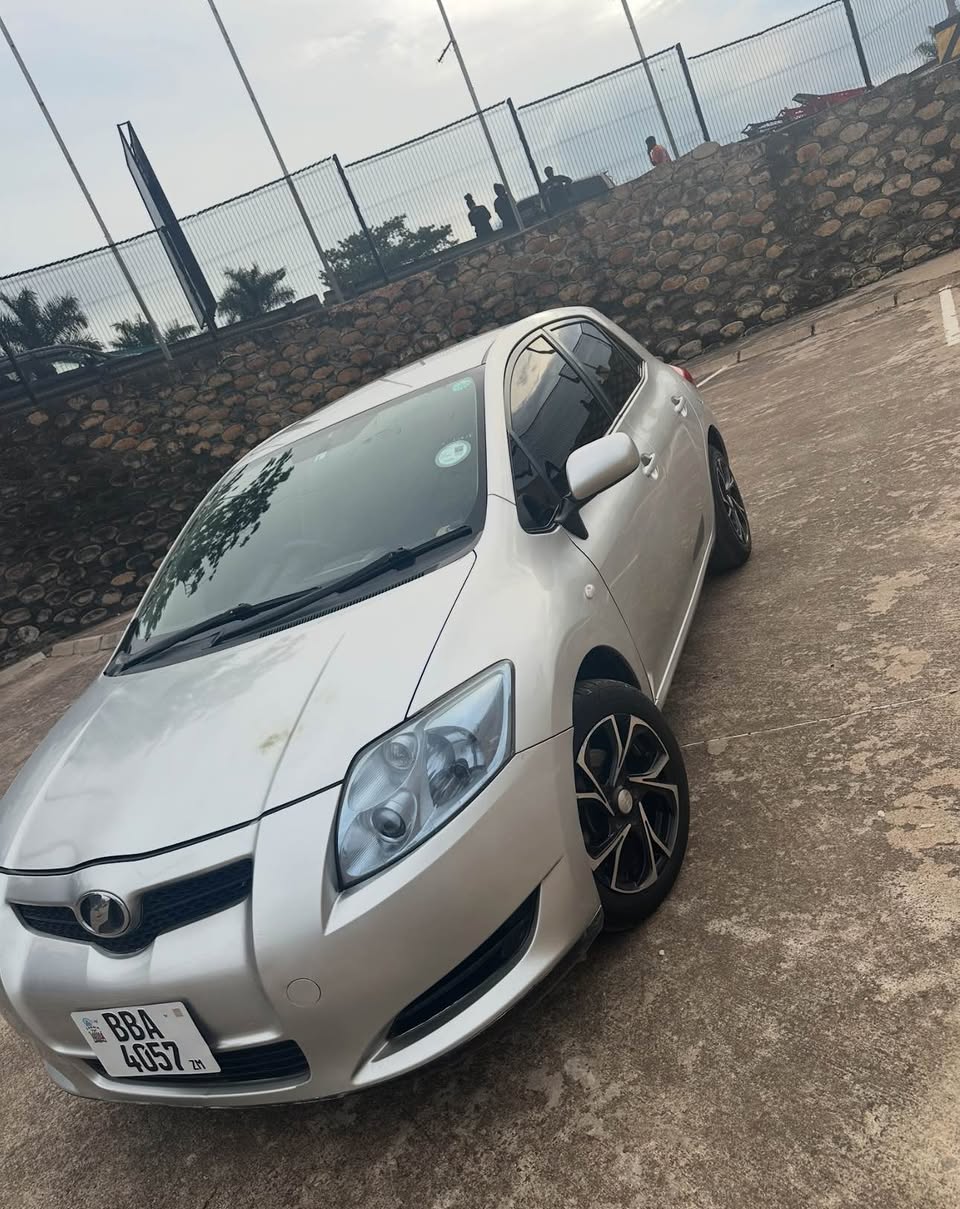 A picture of Auris