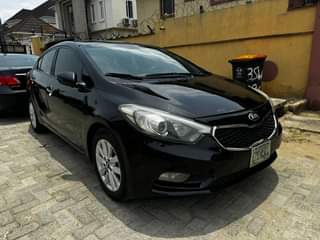 A picture of cerato