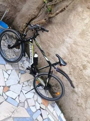 bicycle
