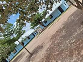 A picture of Mwanza buhongwa mwasonge shule inauzwa