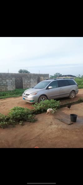 A picture of Toyota sienna 05