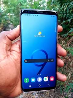 A picture of Samsung S9 plain