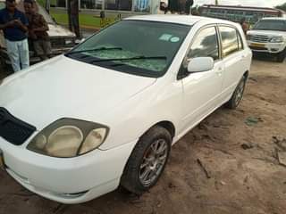 A picture of Runex 0654503974